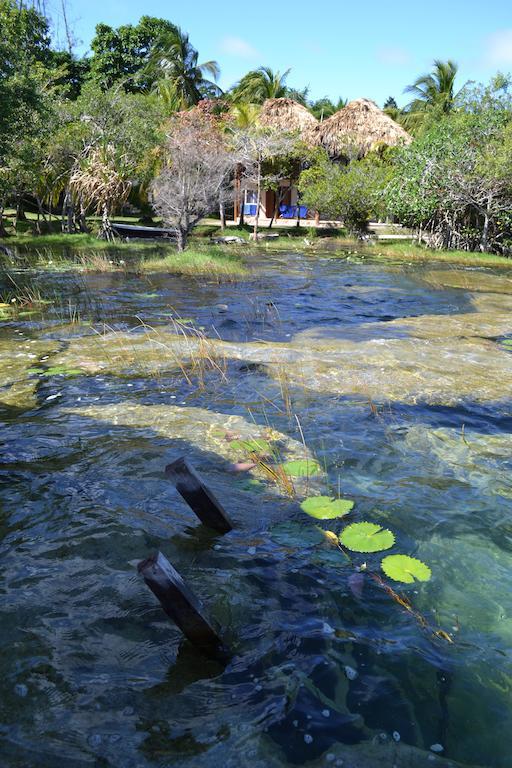 Casa Caracol Hotel Bacalar Buitenkant foto