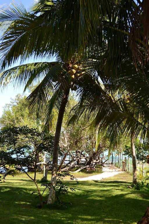 Casa Caracol Hotel Bacalar Buitenkant foto